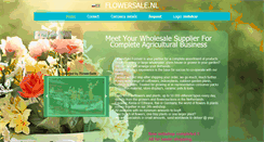 Desktop Screenshot of flowersale.nl